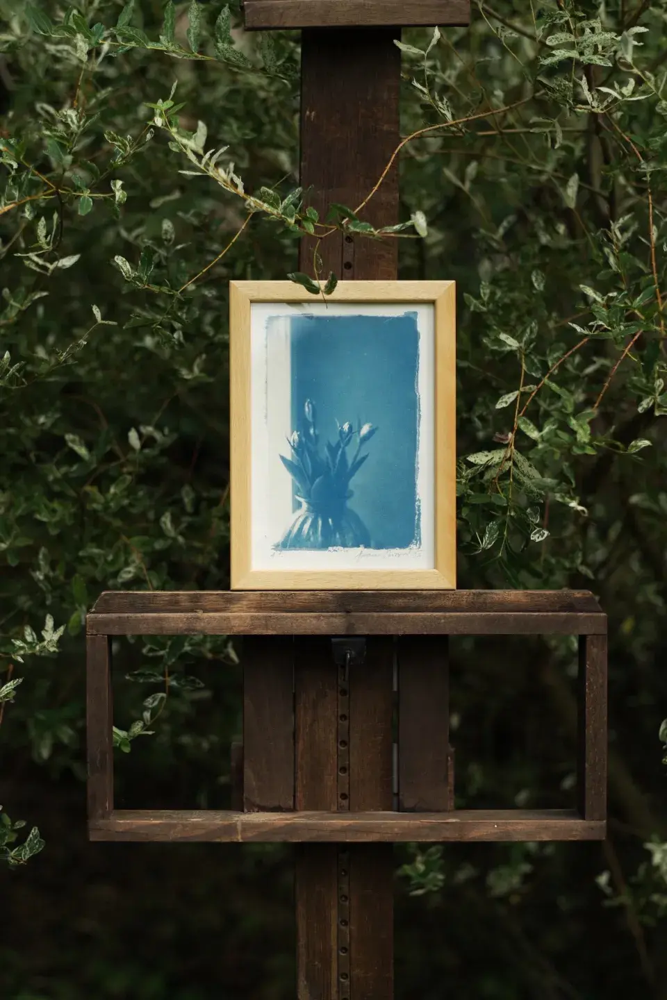 Zahrada Andrey Růžičkové