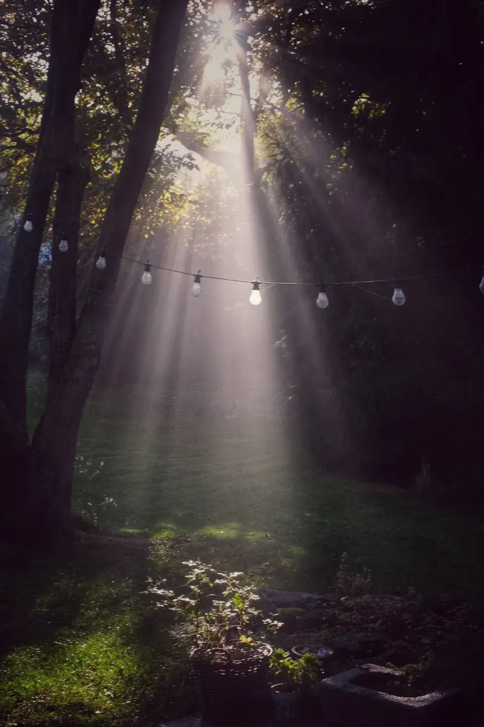 Zahrada Andrey Růžičkové