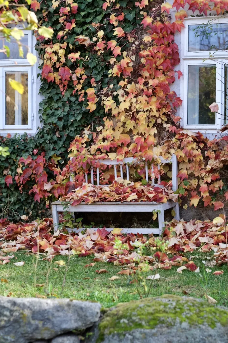 Zahrada Andrey Růžičkové