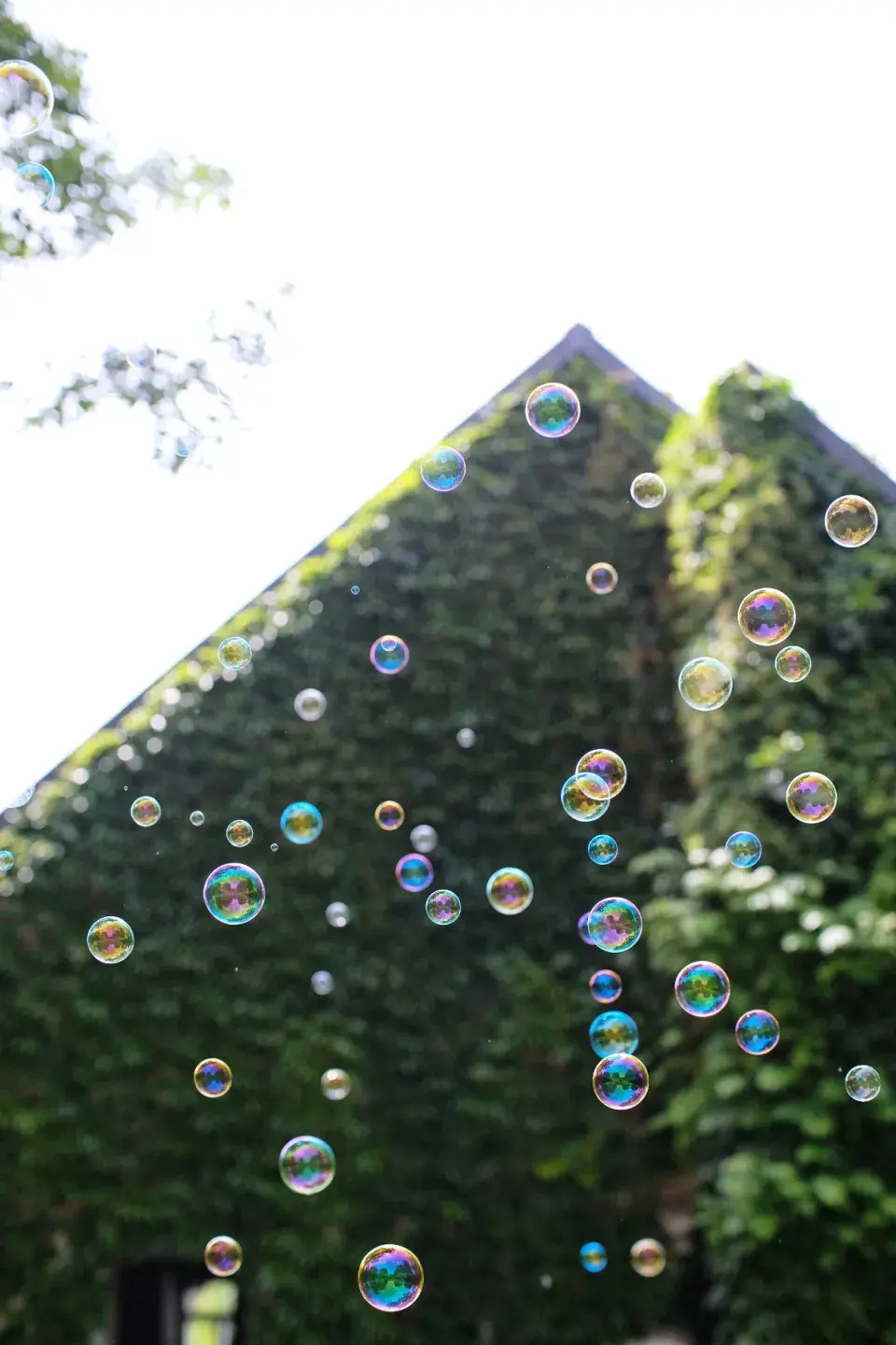 Zahrada Andrey Růžičkové