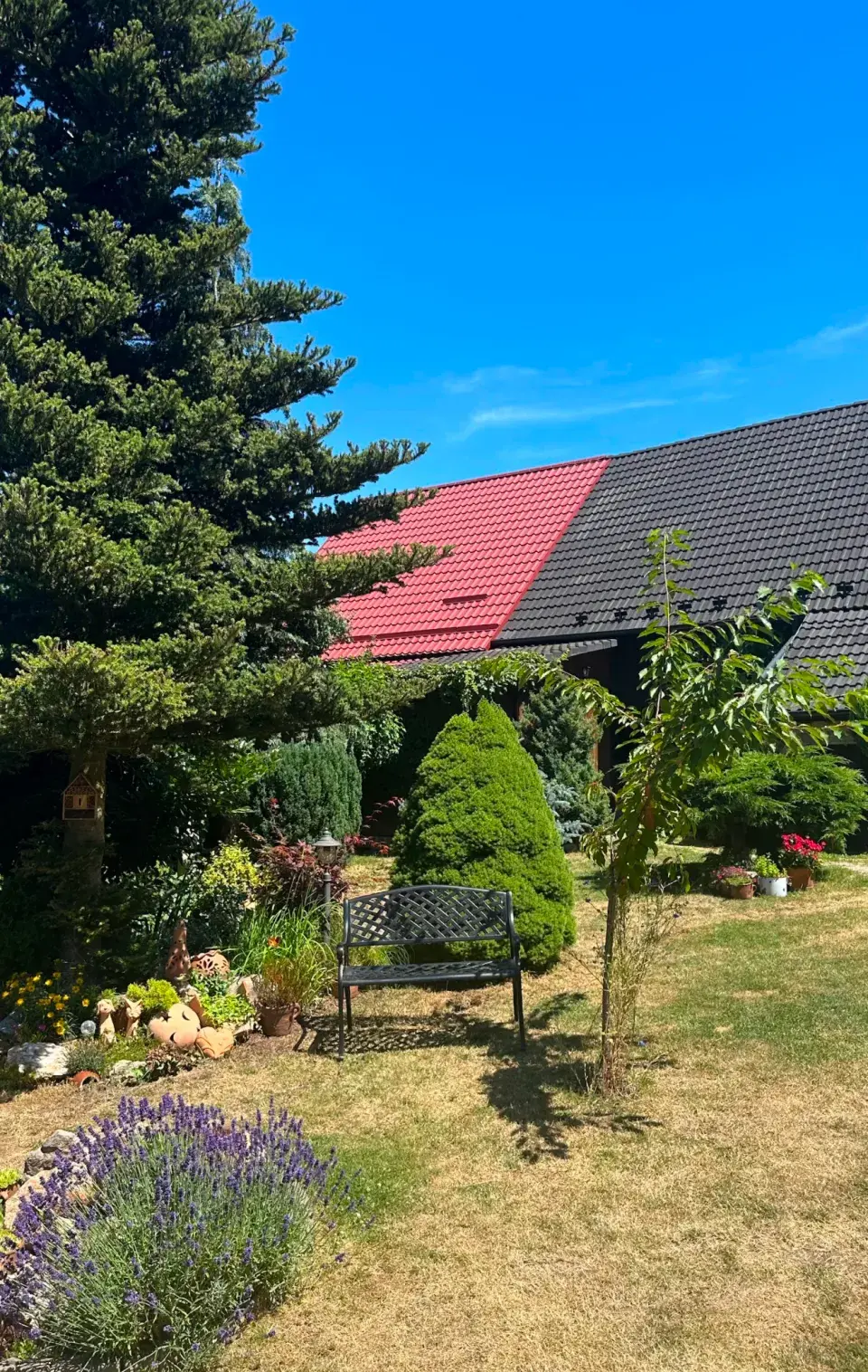 Chalupa Miši Říbalové.