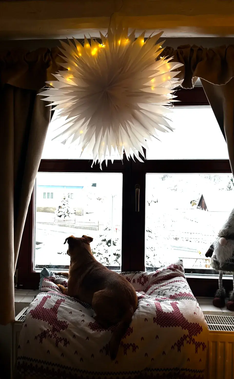 Michaela Říbalová