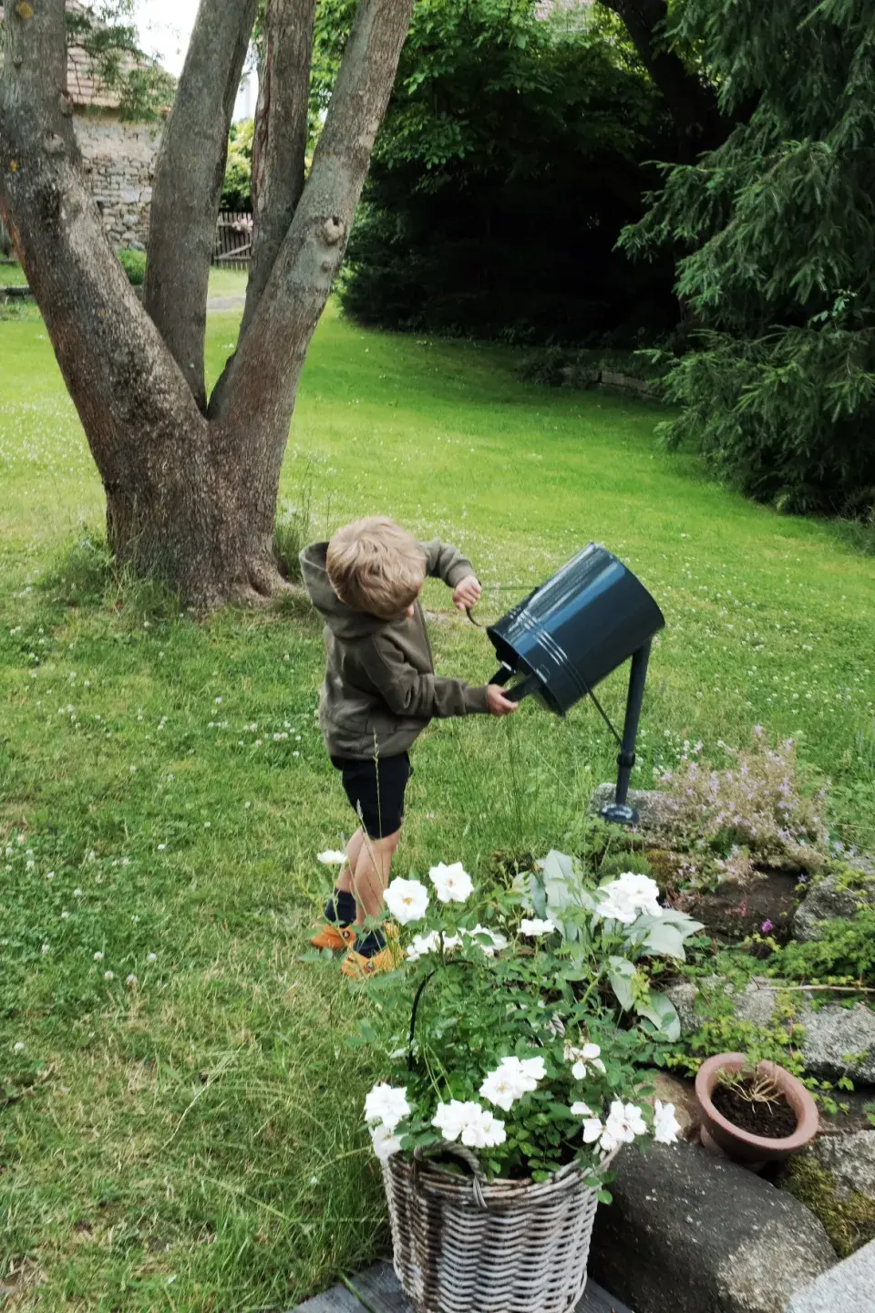 Zahrada Andrey Růžičkové