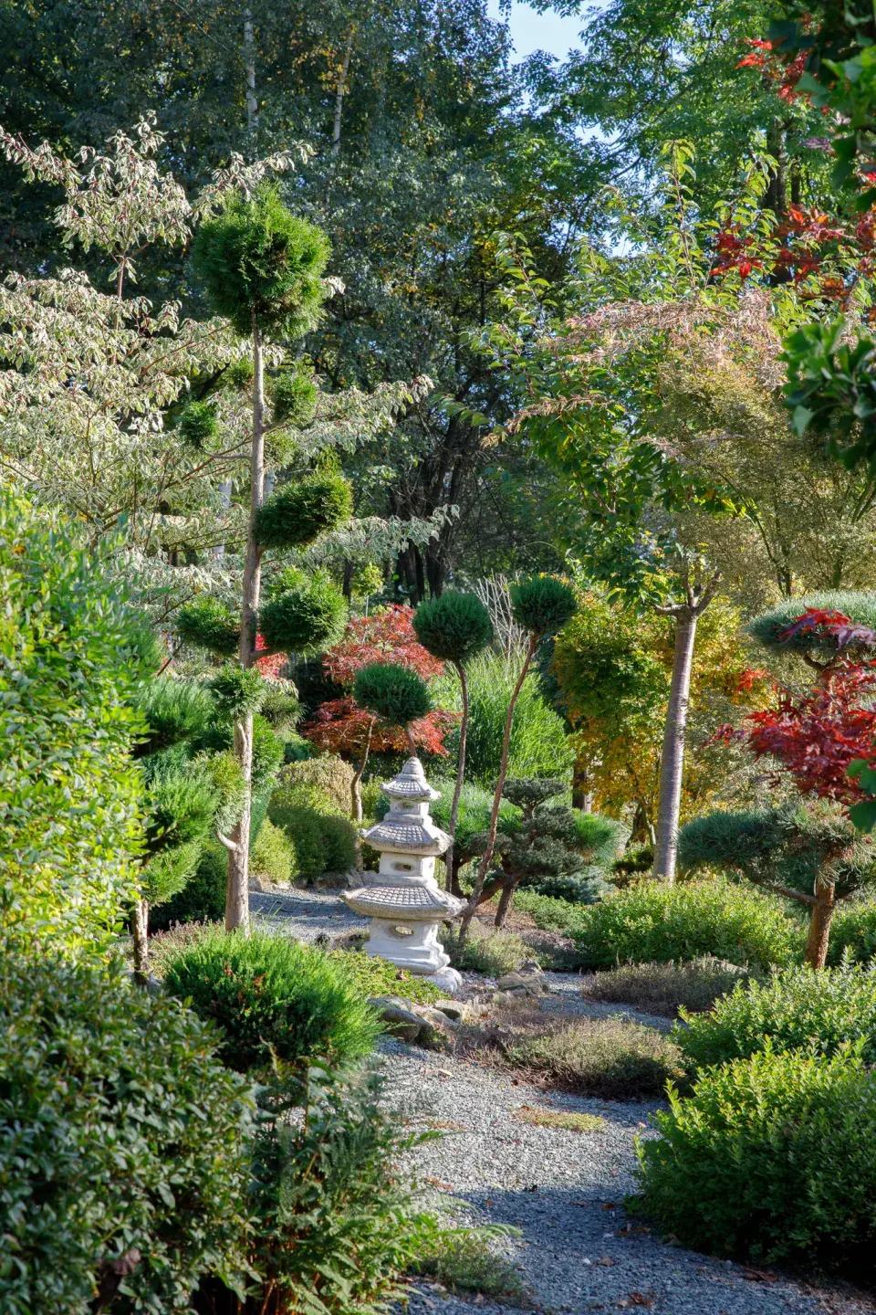 Pohled do nejstarší části zahrady