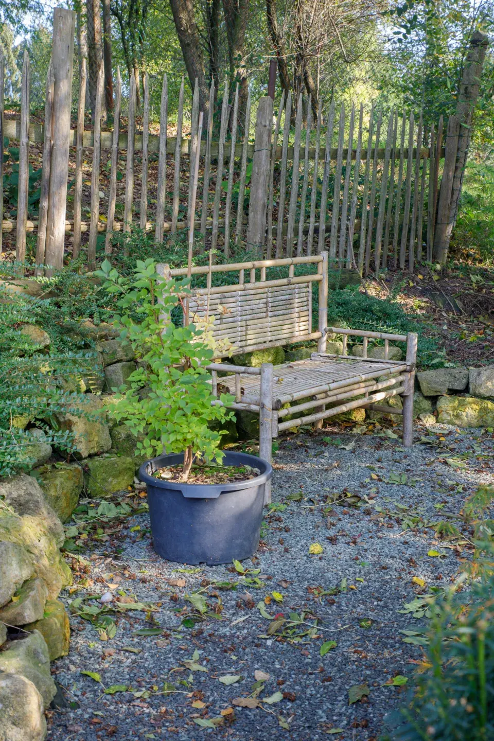 Kout klidu a pohody v japonské zahradě