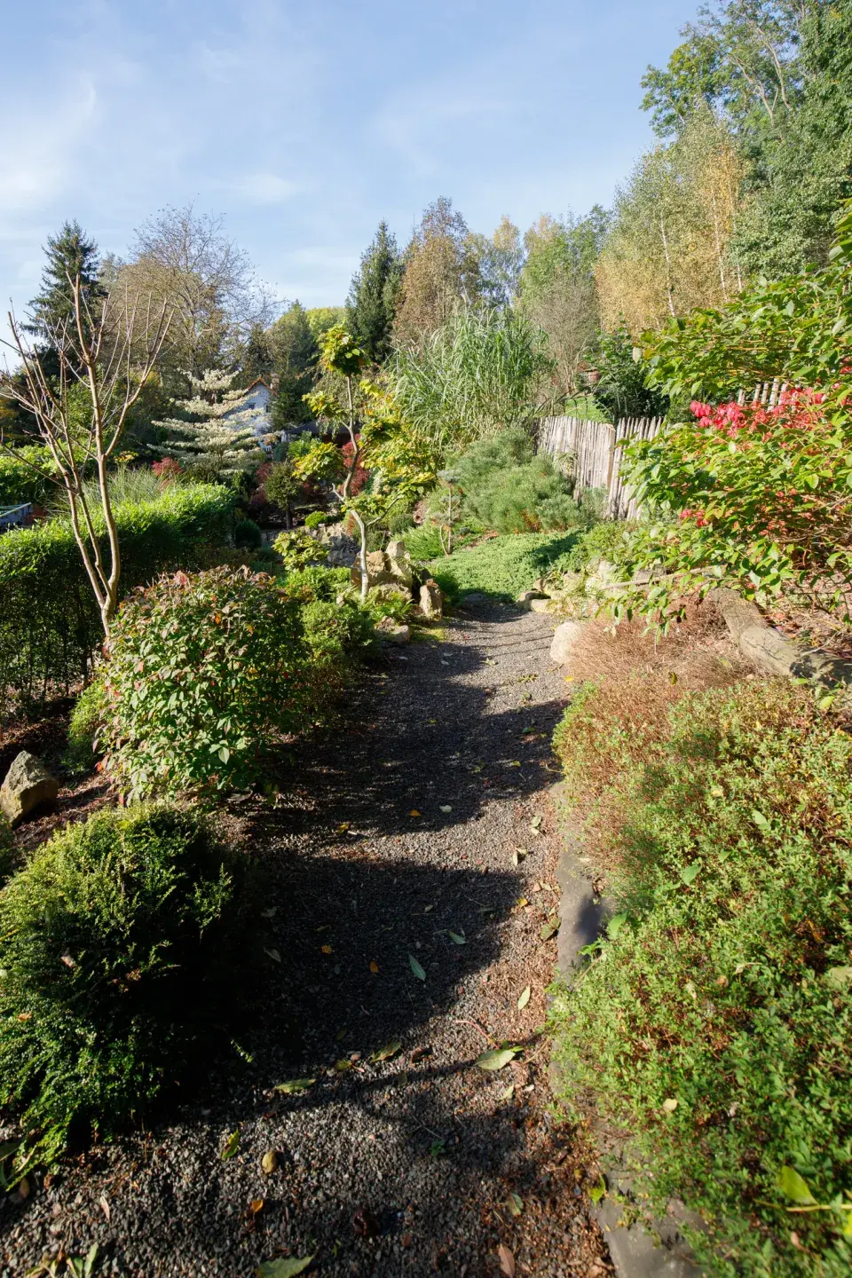 Pohled do Japonské zahrady Shiawase – štěstí