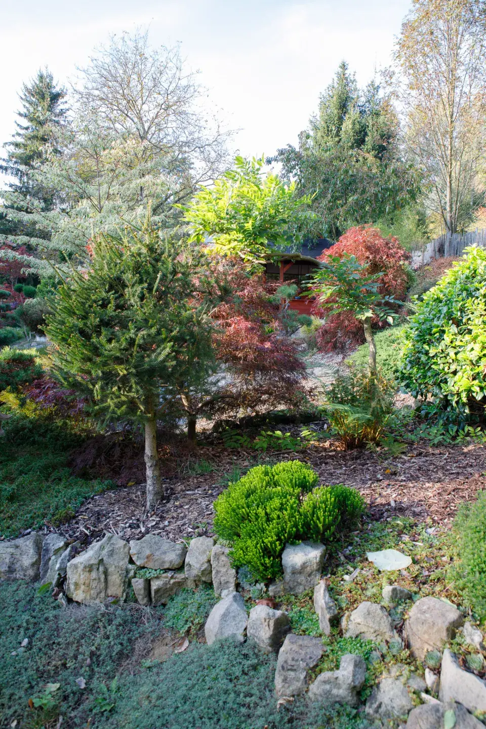 Pohled do Japonské zahrady Shiawase – štěstí