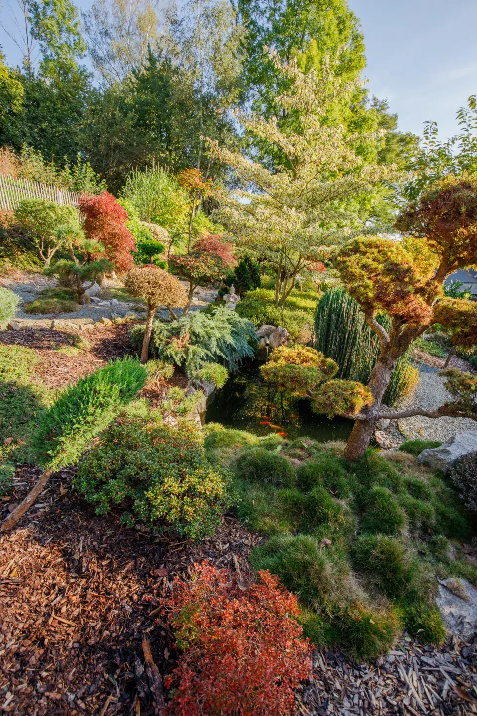 Nejstarší část zahrady s jezírkem