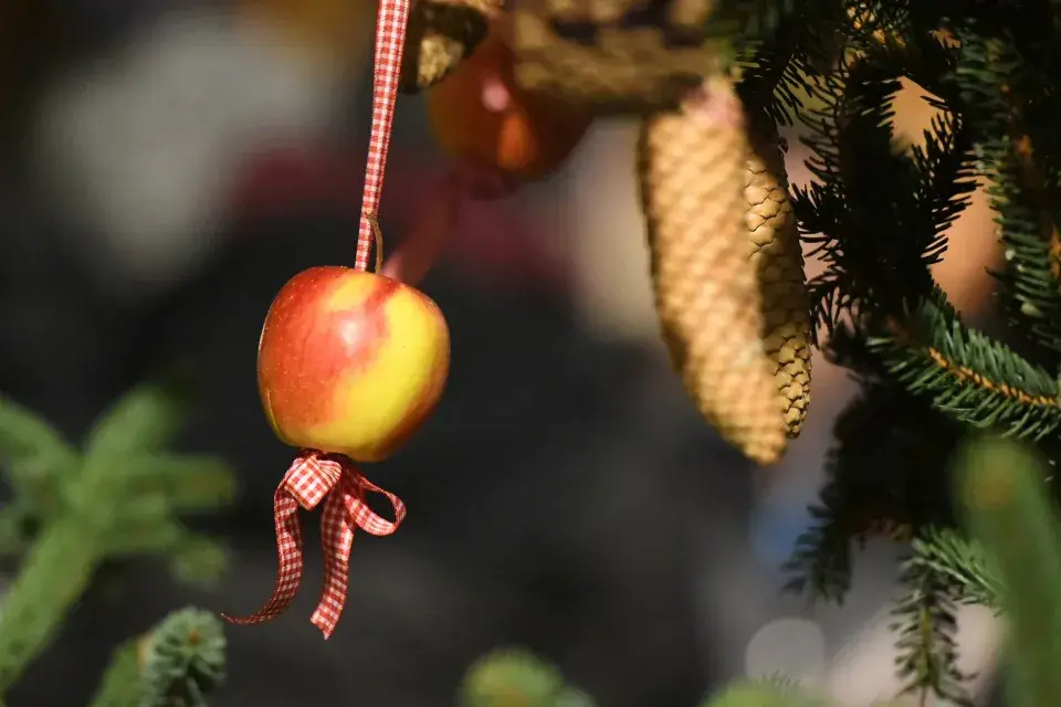 Vánoce jablka