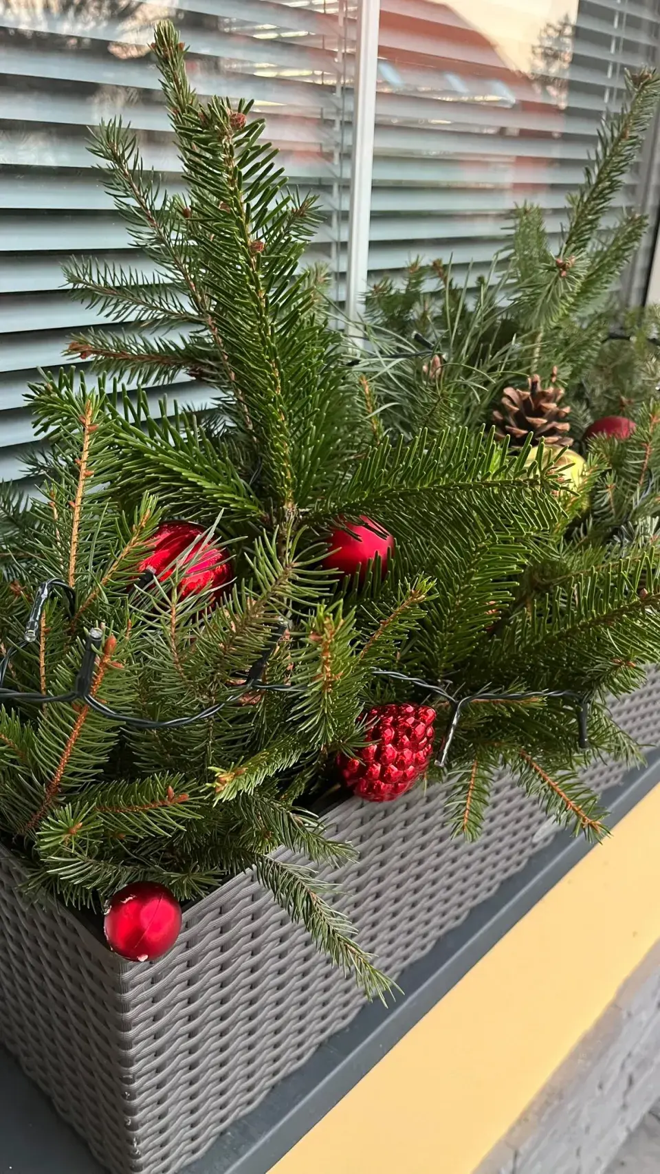 Zeleno červený vánoční truhlík