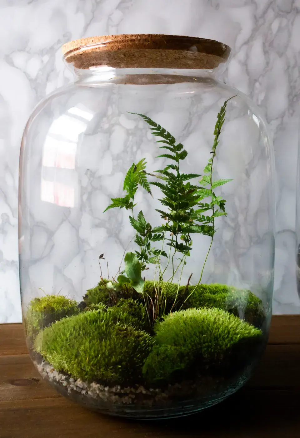 mechová zahrádka v lahvi