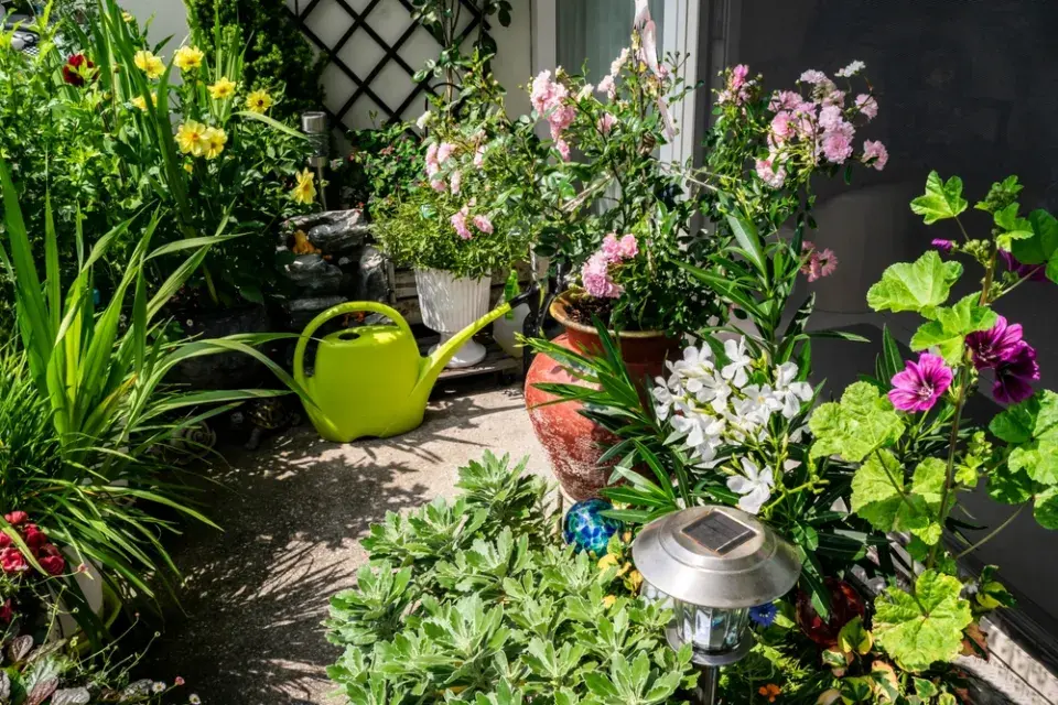 zahrada na balkoně
