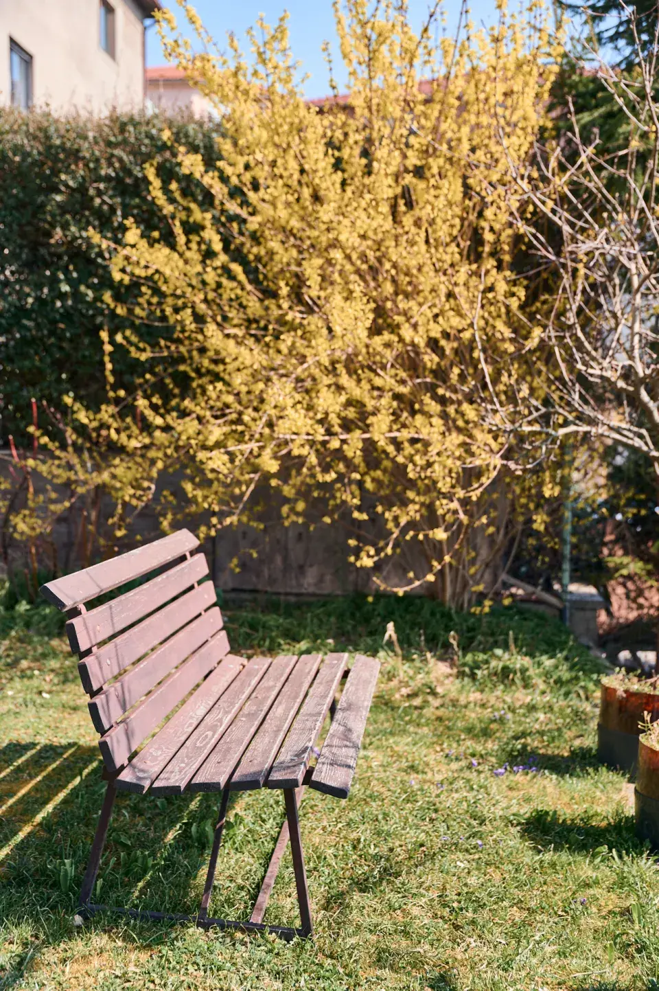 Kvetoucí zahrada Elis Mraz