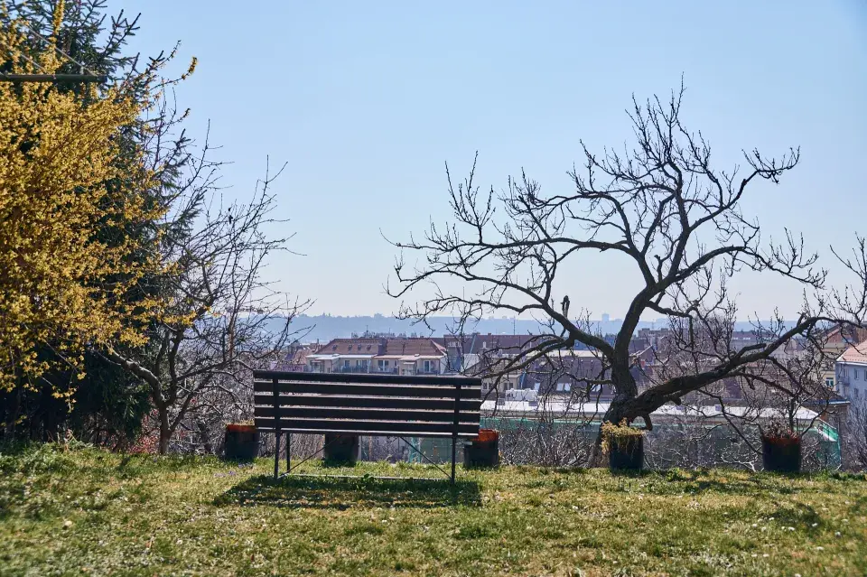 Kvetoucí zahrada Elis Mraz