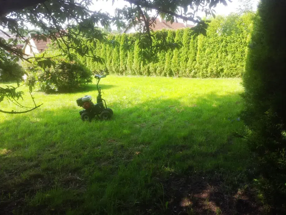 odstranění stávajícího trávníku