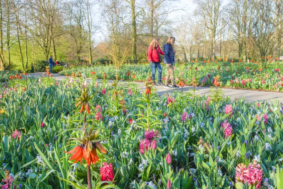 Největší zahrada Evropy park Keukenhof