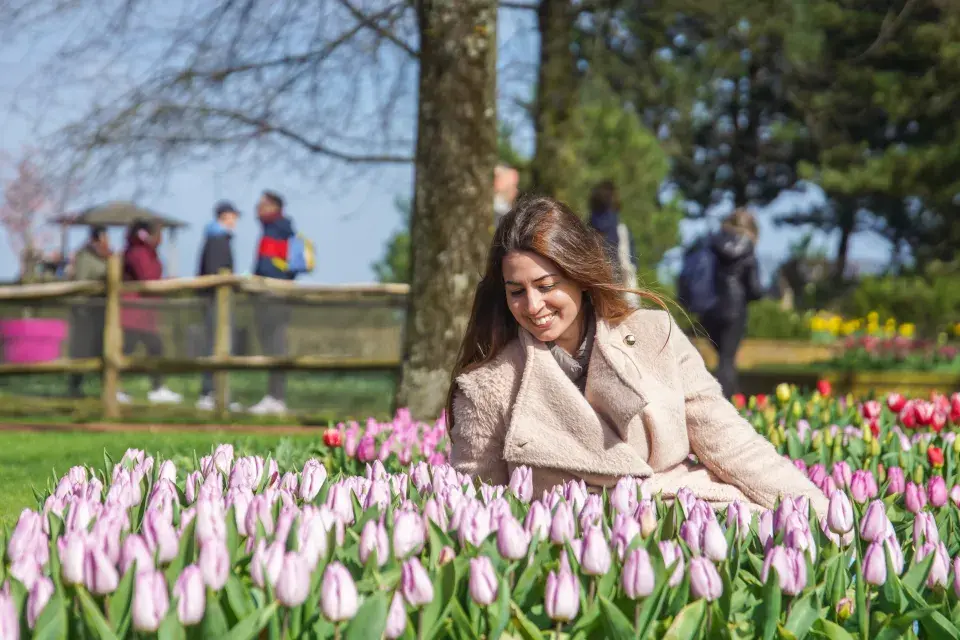 Největší zahrada Evropy park Keukenhof
