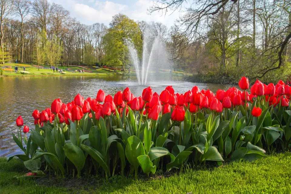 Největší zahrada Evropy park Keukenhof
