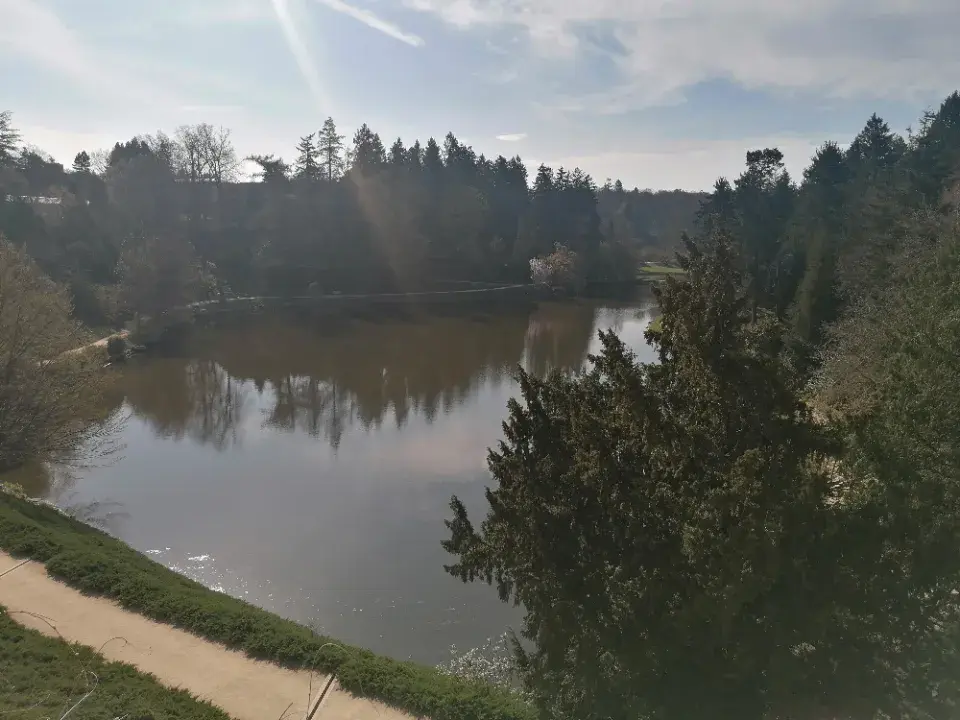 Výhled z hlavní terasy zámku na rybník