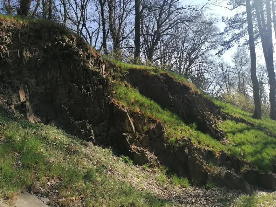 zadní části parku