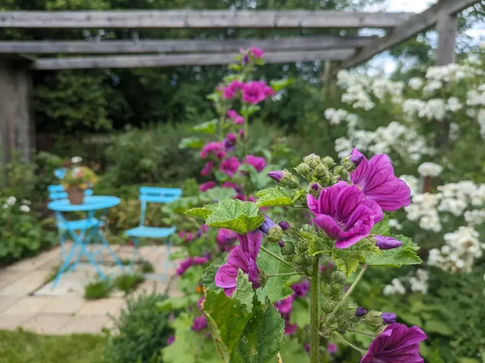 Prvorepubliková zahrada