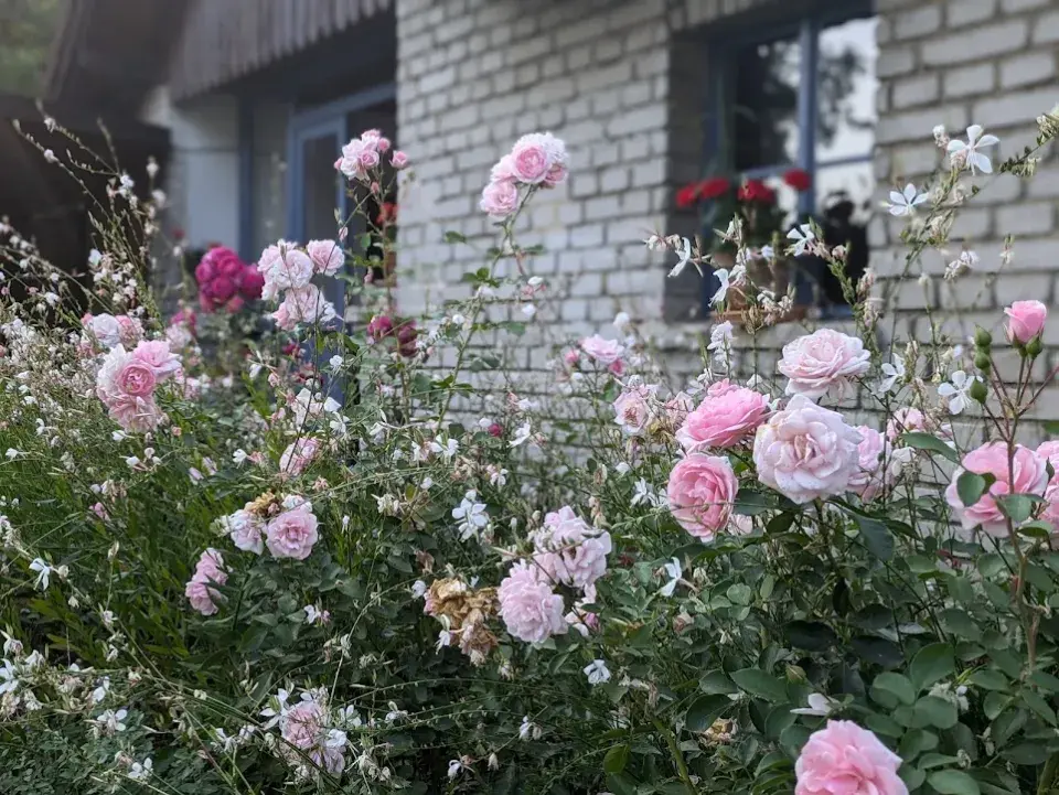 Prvorepubliková zahrada