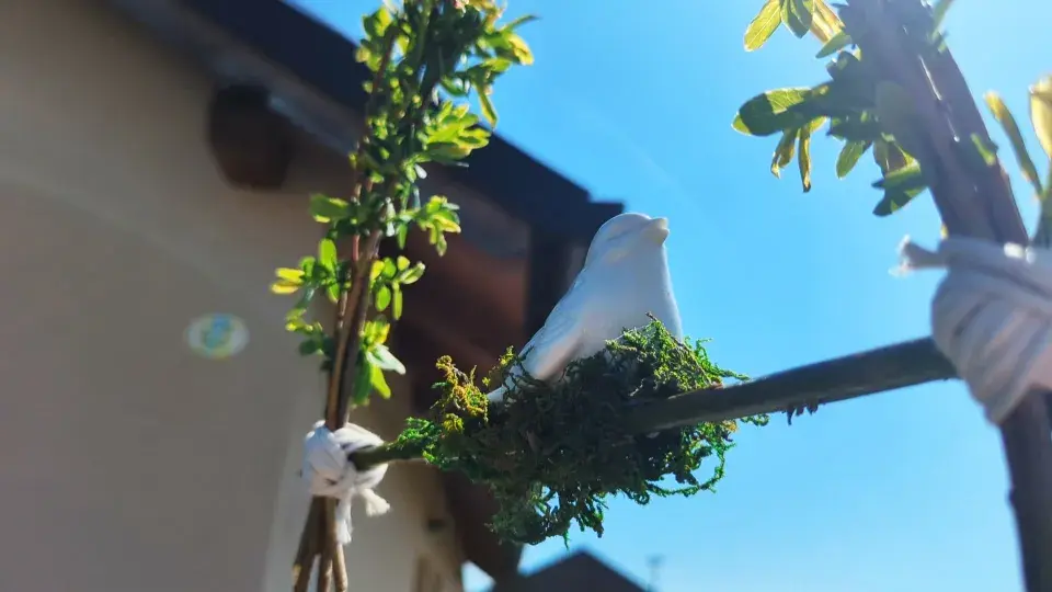 DIY: Jarní dekorace