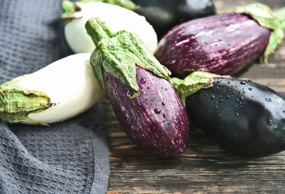 Lilek vejcoplodý neboli baklažán (Solanum melongena) 