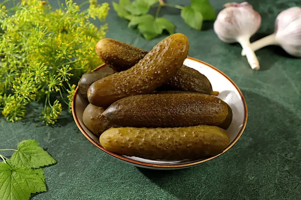 Kopr vonný (Anethum graveolens)