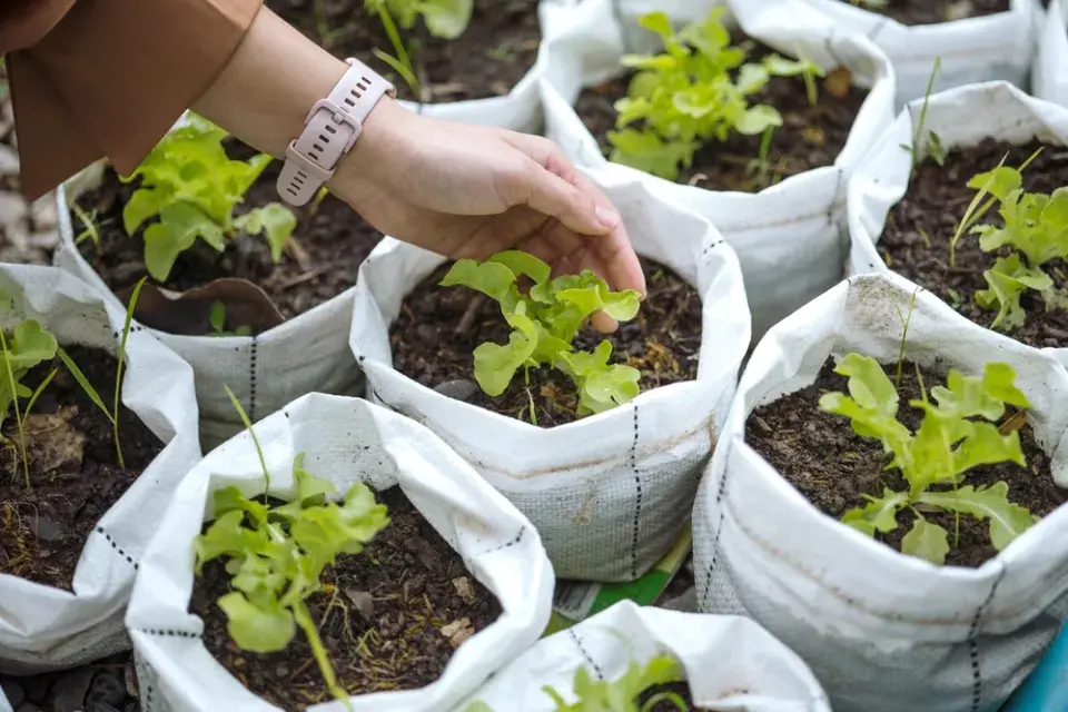 Textilní květináče nabízí pestré využití 