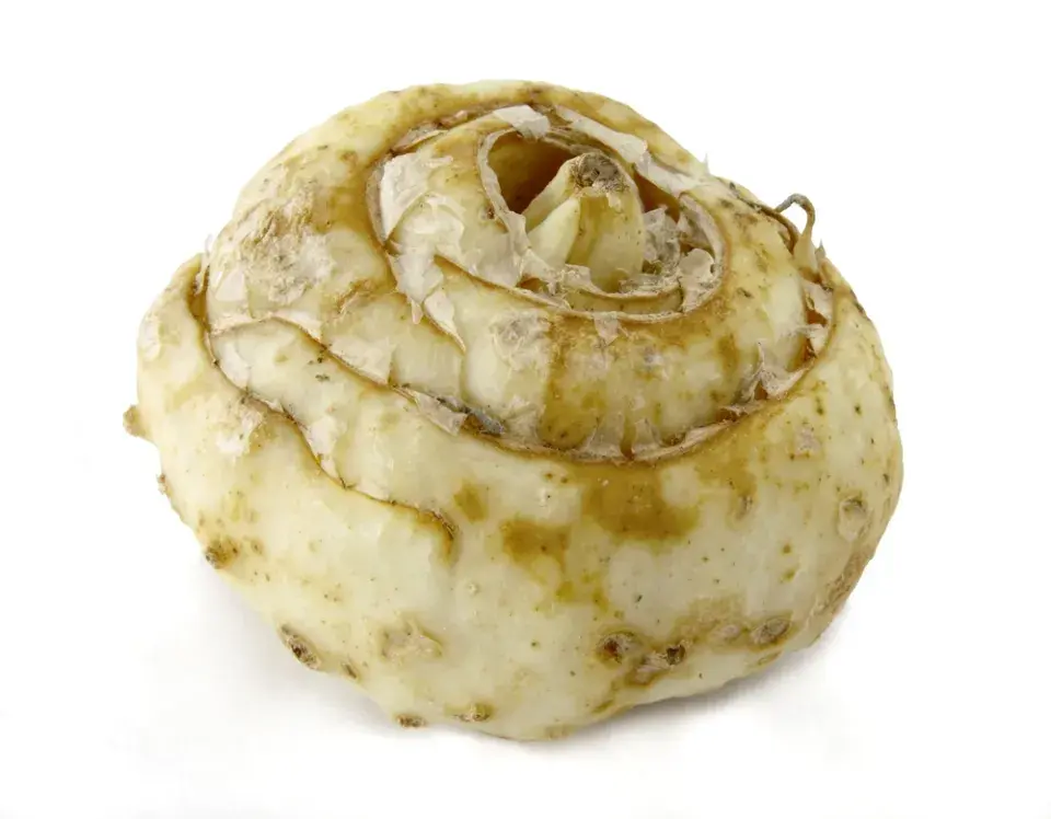 Řebčík královský (Fritillaria imperialis)