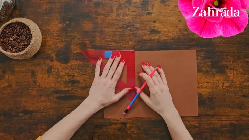 květináček s meduňkou