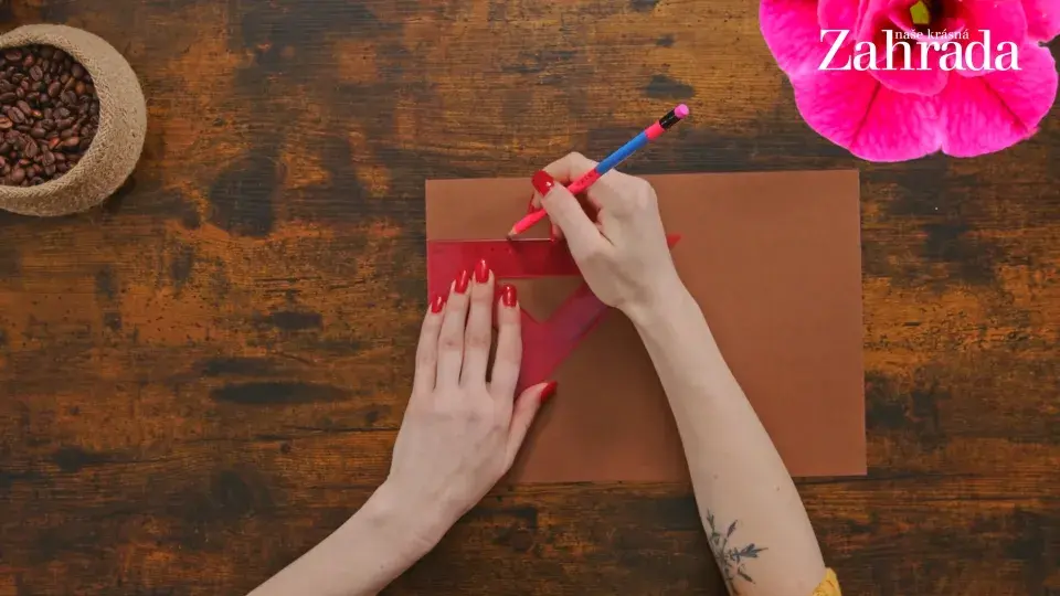 květináček s meduňkou