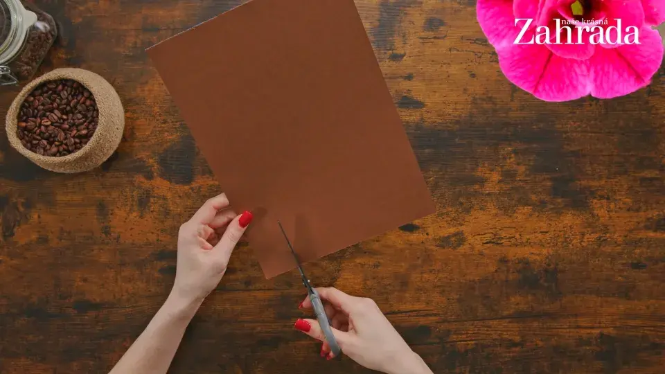 květináček s meduňkou