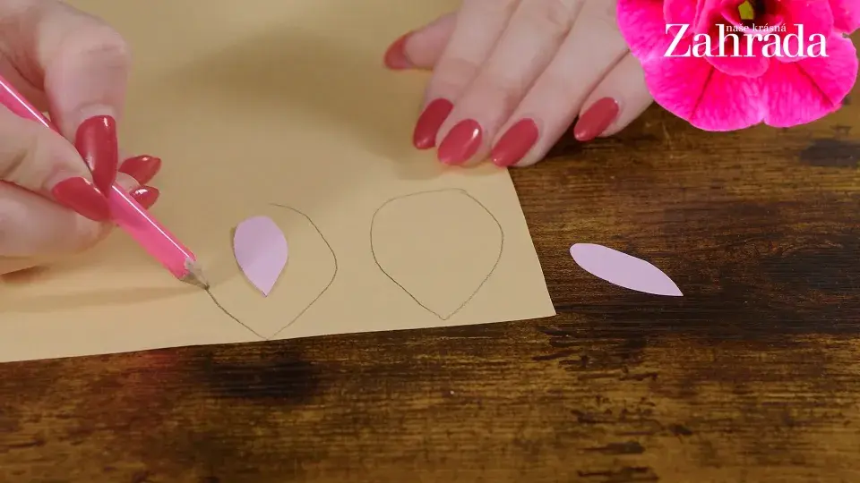 zajíček na vajíčka