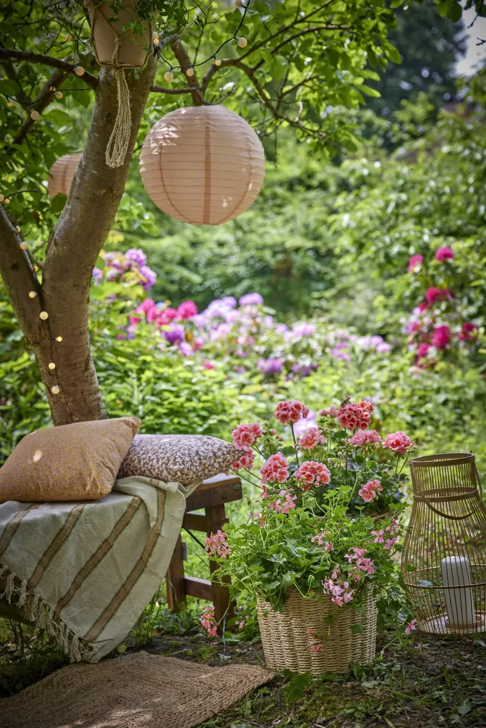 Zákoutí s muškáty