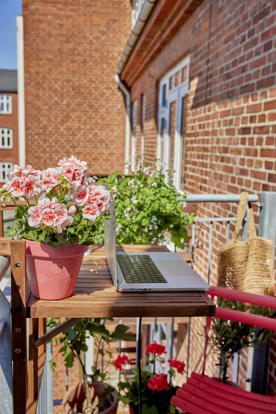 Zákoutí s muškáty