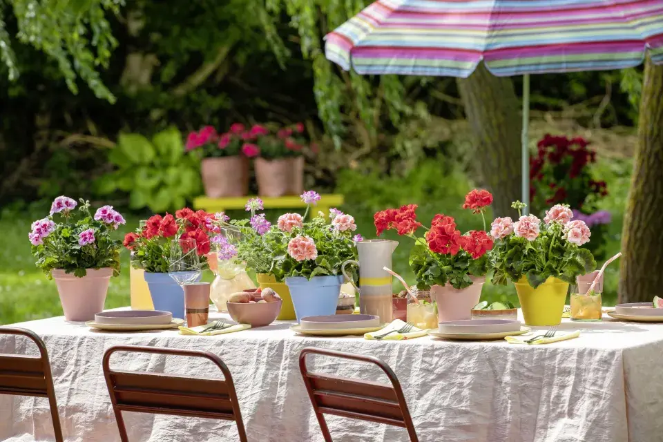 Zákoutí s muškáty