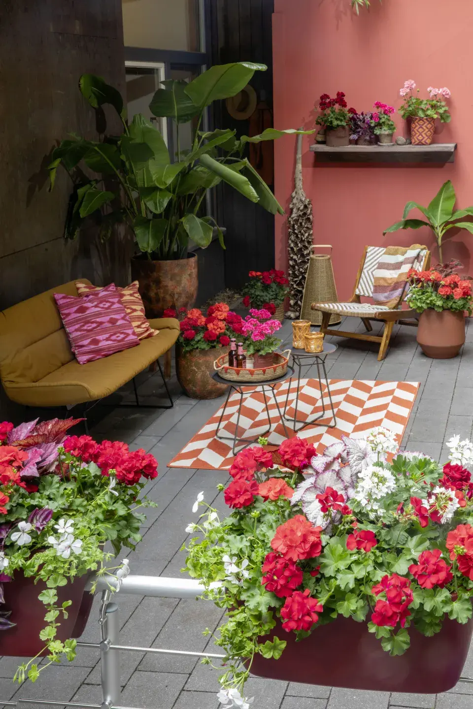 Zákoutí s muškáty