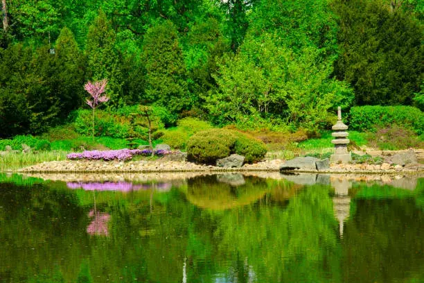 Japonská zahrada Vratislav