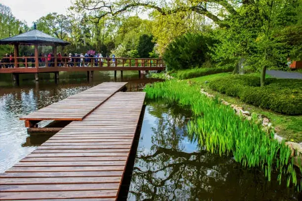 Japonská zahrada Vratislav