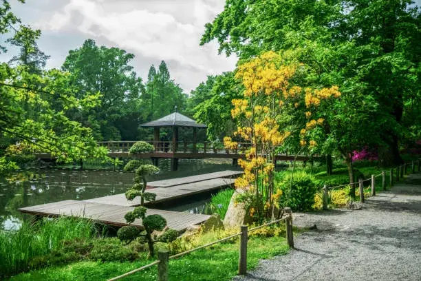 Japonská zahrada Vratislav