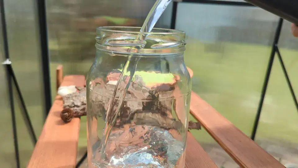 DIY: Pítko pro hmyz