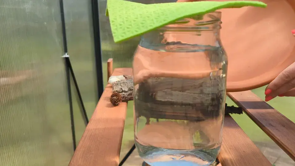 DIY: Pítko pro hmyz