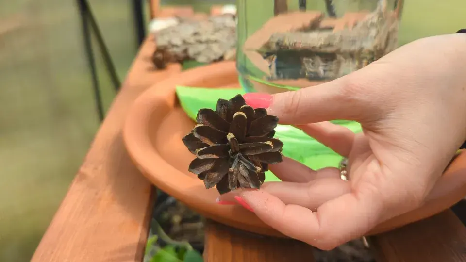 DIY: Pítko pro hmyz