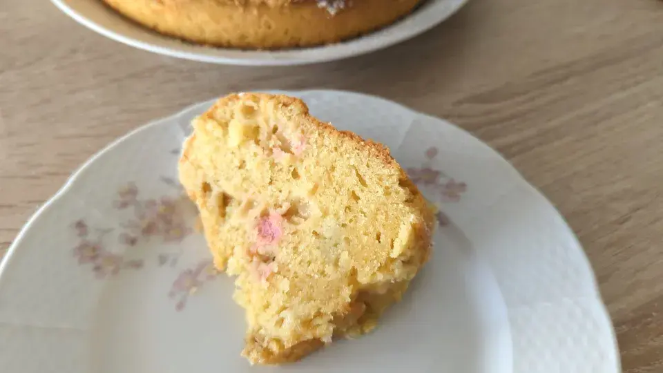 Hrníčkový recept na rebarborovou bábovku