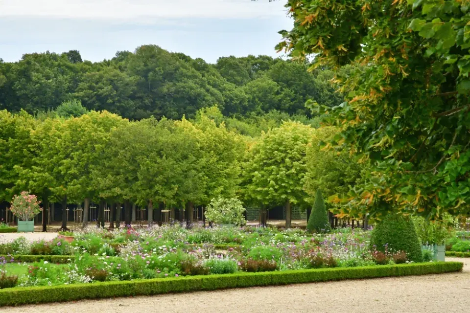 Zahrady ve Versailles