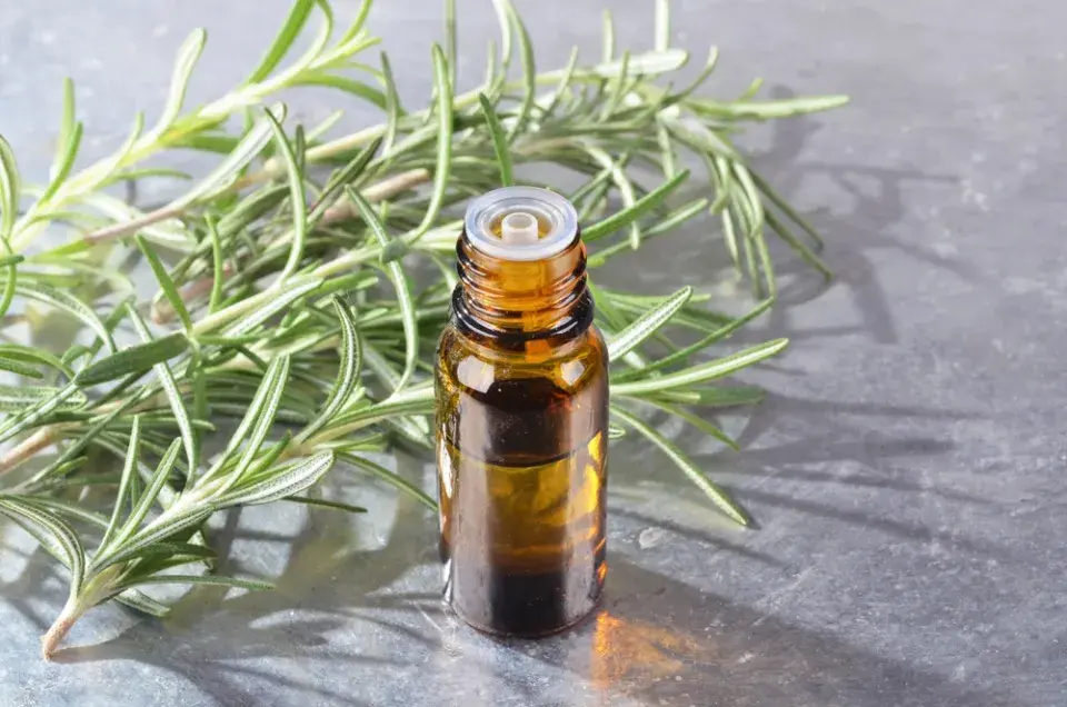 Repelentní rostliny