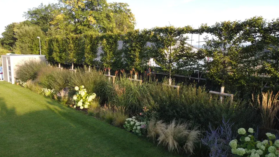 Spodní hranice pozemku 