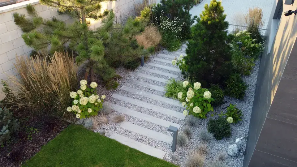 Zahrada je plná zeleně 